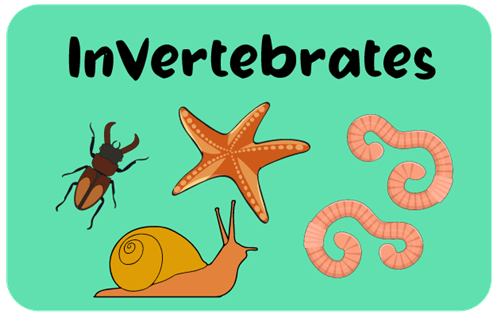 Header Graphics