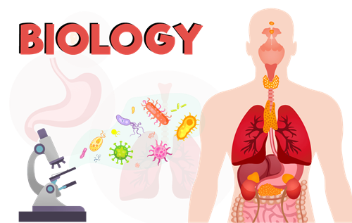 Header Graphics