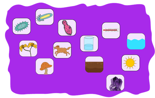 Header Graphics