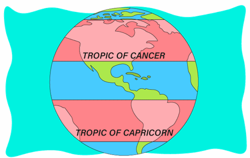 Header Graphics