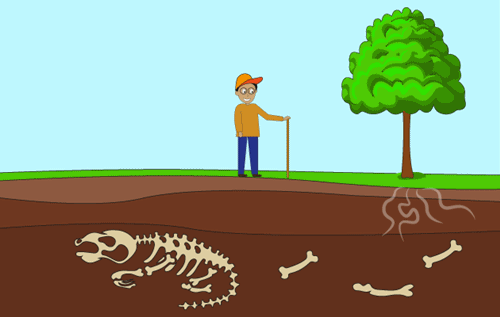 Header Graphics