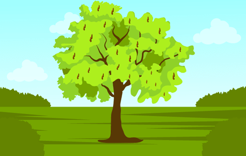 Header Graphics
