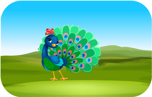 Header Graphics