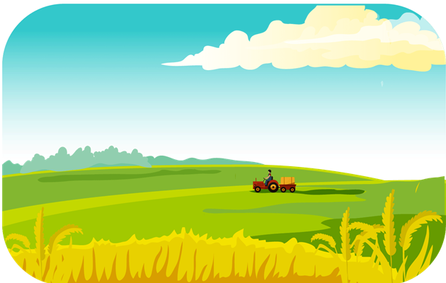 Header Graphics