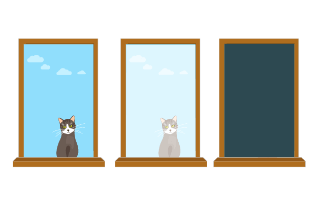 Header Graphics