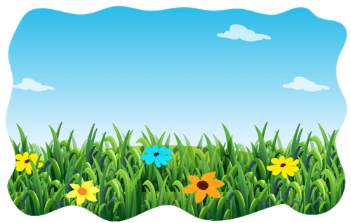 Header Graphics