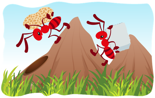 Header Graphics
