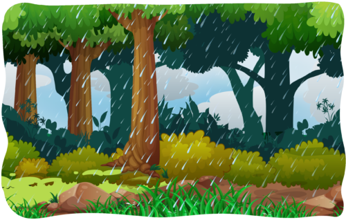 Header Graphics