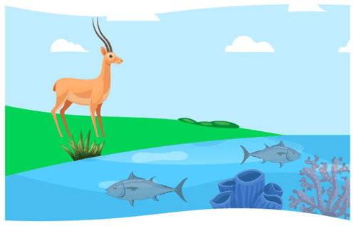 Header Graphics