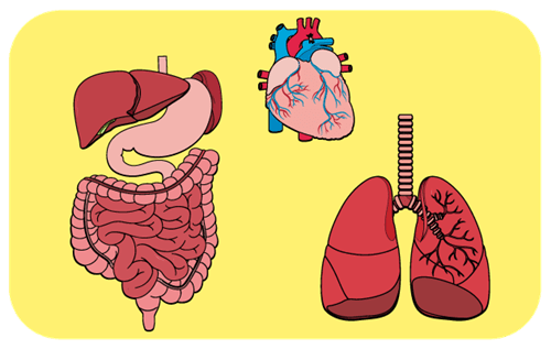 Header Graphics