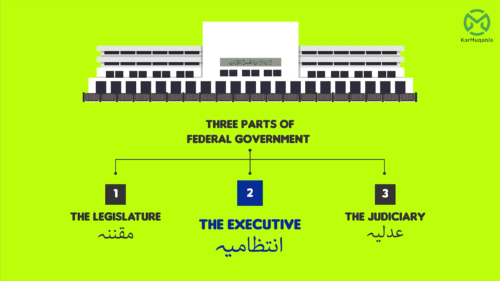 Executive and Judiciary