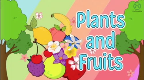 Plants – Uses & Fruits
