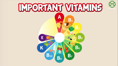 Important Vitamins