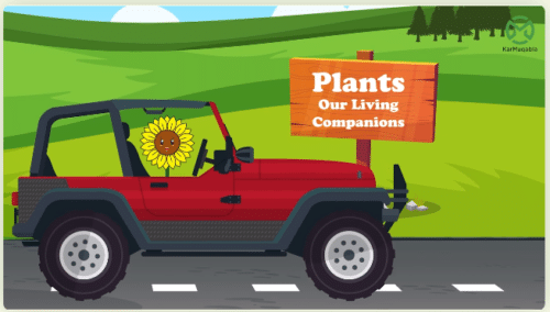 Plants 4 – Reproduction