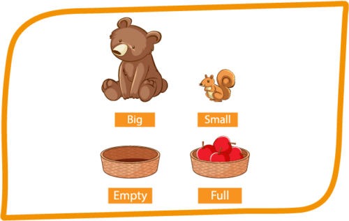 Header Graphics