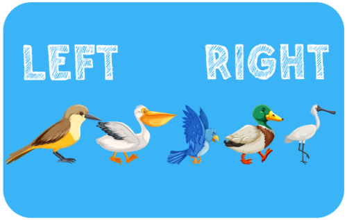 Header Graphics