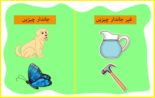 Header Graphics