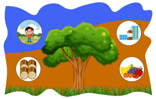 Header Graphics