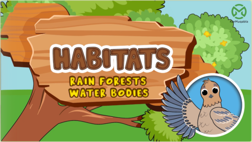 Environment and Habitats – Rain Forests &  Water Bodies