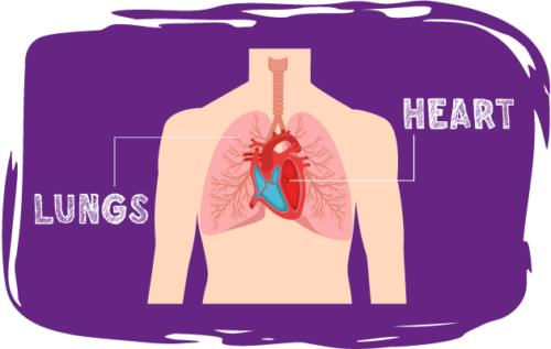 Header Graphics