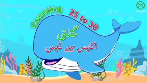گنتی اکیس سے تیس