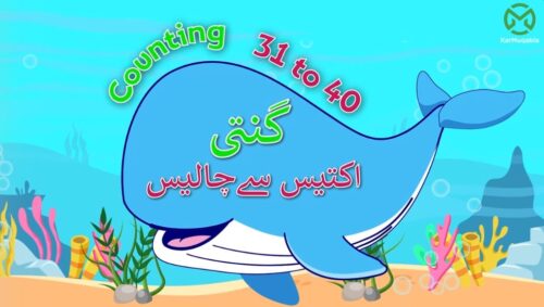 گنتی اکتیس سے چالیس