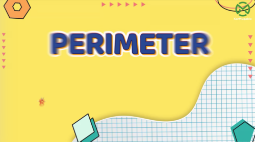Perimeter