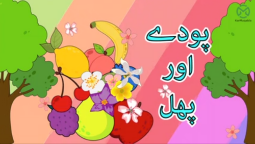 پودے: استعمال اور پھل