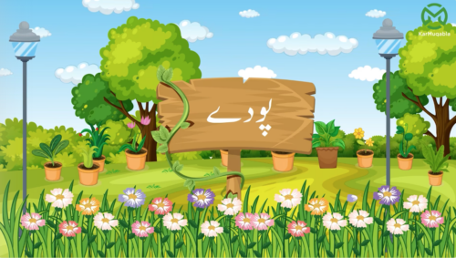 پودے – دہرائی
