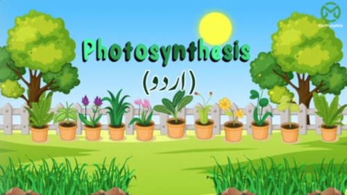پودے – فوٹوسنتھیسس