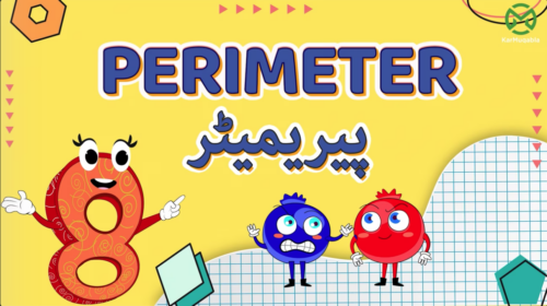 پیریمیٹر