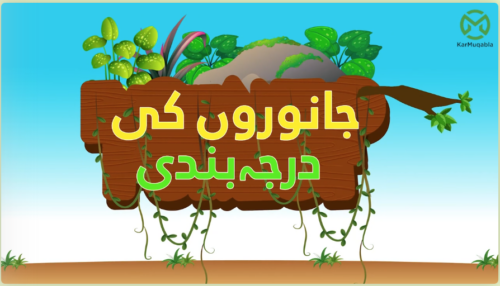 جانوروں کی درجہ بندی