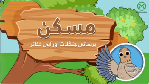 ماحول اور مسکن (برساتی جنگلات اور آبی ذخائر)