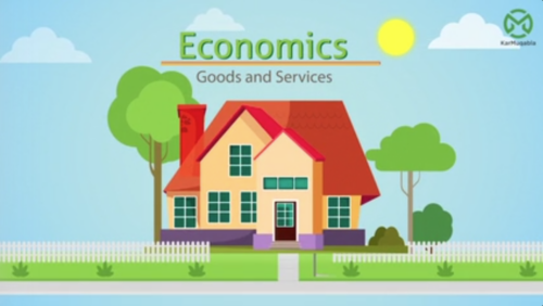 Private and Public Goods Services