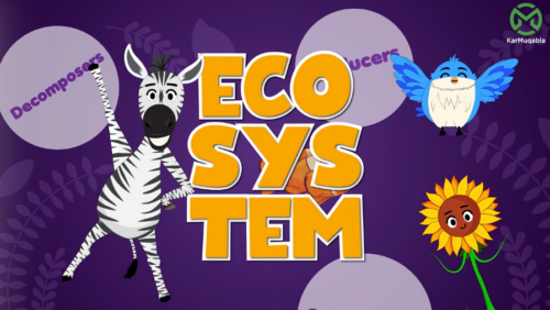 Ecosystem