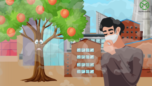 انسان اور ماحول