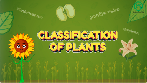Classification of Plants