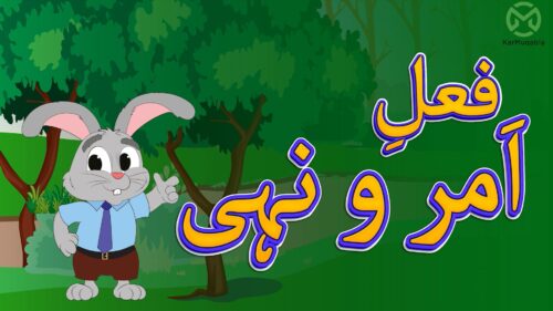 فعل امر و نہیں